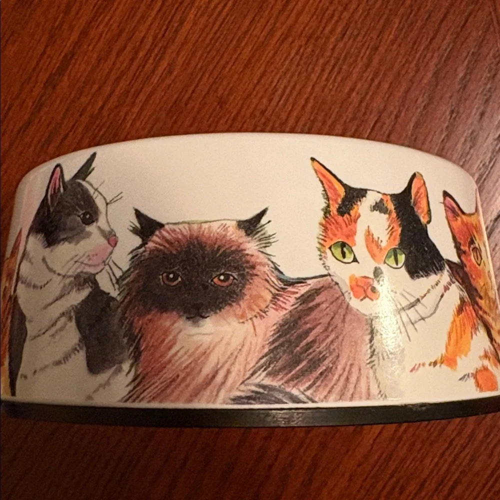 Cat Embossed Face Non Skid Break Resistant Dishwasher Safe Melamine Pet Bowl